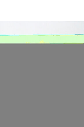 1 Adet Meryem (MERYAM) Ana Eli Otu - Fatma Ana Eli Otu (ANASTATİCA HİEROCHUNTİCA) Kolay Doğum Için