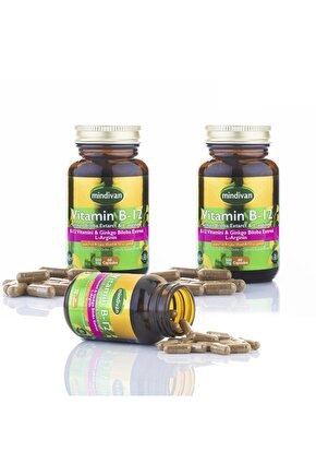 Vitamin B12 &ginko Bloba Ekstresi & L Arginin X 3 Adet