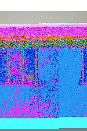 Corallium Nakışlı Kırlent Kılıfı Beyaz