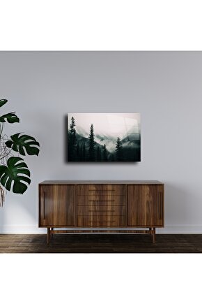 Aretas Erkek Soket Çorap Siyah