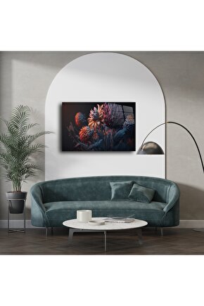 Meri Kadın 2li Soket Çorap Siyah - Beyaz