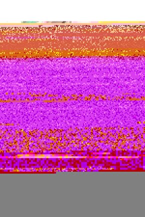 Daisy Lines Baskılı Çift Kişilik Pike 200x220 Cm Pembe