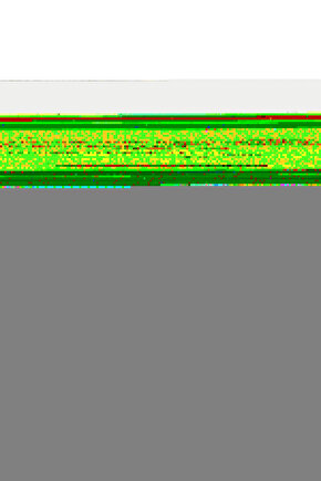 Kadın Kot Detaylı Takım