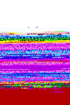 Motosiklet Yüksek Görünümlü Yelek Reflektörlü Fermuarlı Reflektik Motorcu Yelek Yeni Yasaya Uygun M