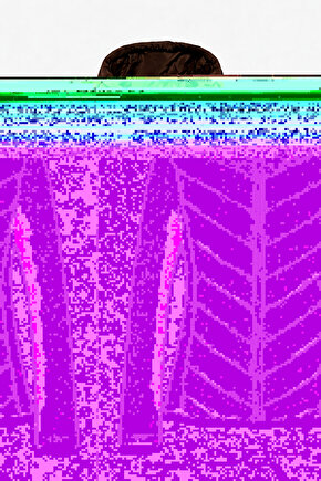 Kadın Kapüşonlu Şişme Mont Range Rover Mom Ceket