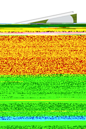 Kadın İçi Suni Kürklü Süet Ceket - Yumuşak Dokulu, Düğmeli