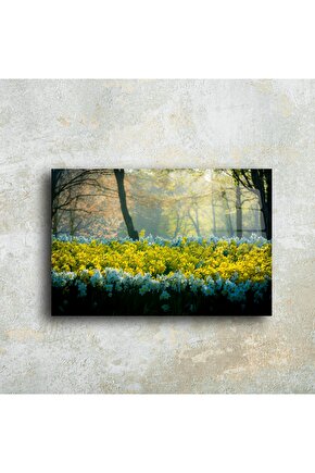 Nergis Bahçesi Cam Tablo