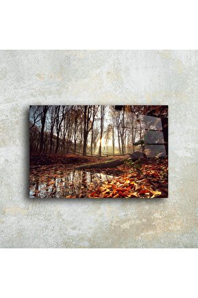 Sonbahar Ormanı Cam Tablo