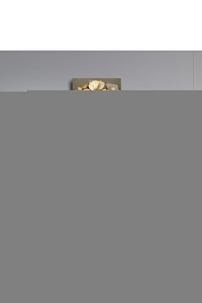 Airfit N30i Silikon Cpap Burun Maskesi Standart Boy