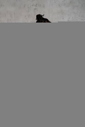 Baş Parmak Destekli El Bilek Ateli - Sağ El (hava Alan Pamuklu Kumaştan Üretilmiştir)