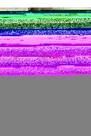 Arora Max T 150cc Leone Performans Bagası 12 gram