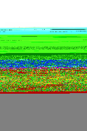 Çocuk Unisex Baskılı T-Shirt - Siyah