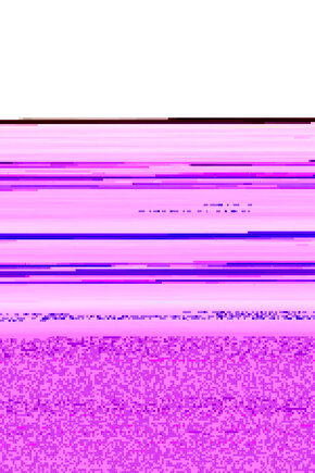 Kadın Biskilet Yaka Kolu Armalı - Lacivert