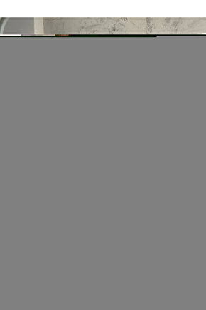 Plastik Tabak Sert Lüks 18cm (6 Adet) Renk Gold