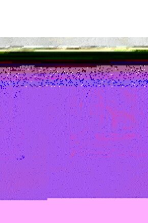 Modern Cam Duvar Tablosu