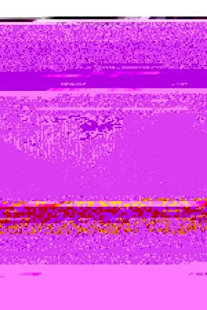 JY305 Pulse Bağcıklı Triko Kumaş Erkek Günlük Spor Ayakkabı TST - Siyah