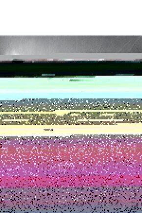 Kadın Kısa Yarasa Kollu Yuvarlak Yaka Beli Büzgülü Süprem Elbise