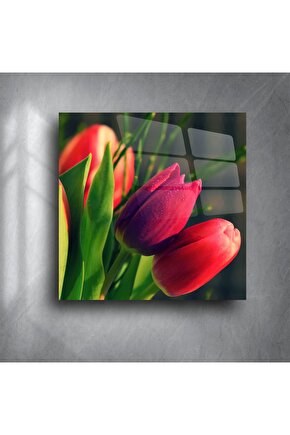 Canlı Kırmızı Lale Çiçek Fotoğrafı Cam Tablo