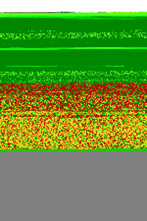 Neon Işıkta Güller Arasında Tüylü Kedi Cam Tablo