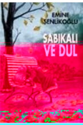 Sabıkalı Ve Dul, Emine Şenlikoğlu, Mektup Yay.