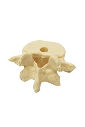 Omur Şeklinde KalemlikModel 1