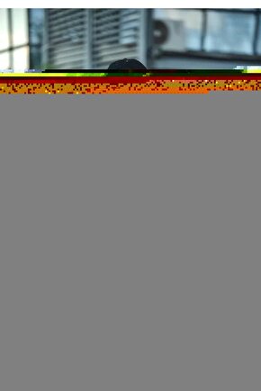 Kışlık Bisiklet Yaka Baskılı SweatShirt - Siyah