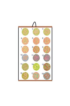 Renk Körlüğü Test Skalası