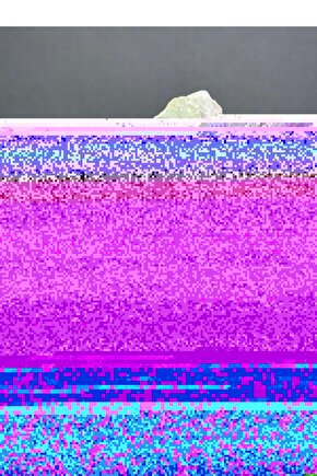 Dankes Baskılı Sweat 3 Iplik Şardonlu Kapşonlu