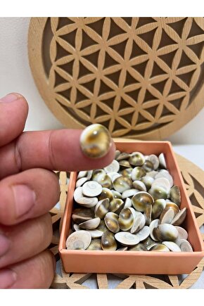 Yılancık taşı 3 adet