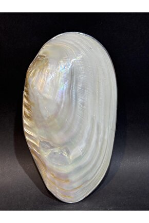 KABUK XXL GÜMÜŞ ÇERÇEVELİ