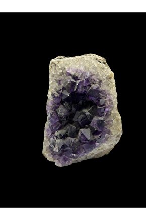 Kadın Kısa Kollu Kruvaze Yakalı Beli Lastikli çiçek Desenli Elbise