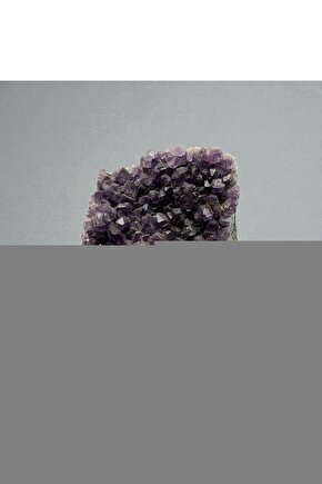 Kendim Fashion Kadın Kısa Kelebek Kollu Bisiklet Yaka Janjan Krep Elbise