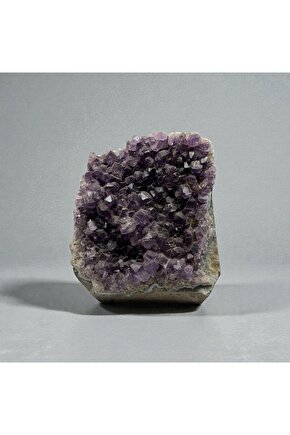 AMATIST HAM KAYA