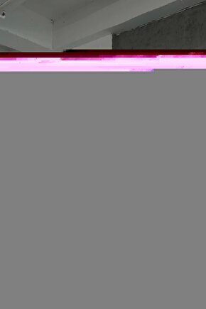 Selenit Ametist Pembe Kuvars Ay Taşı Apatit -yeşim Doğal Taş 8 Mm Bileklik