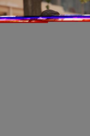 Doğaltaş Bileklik Böbrek