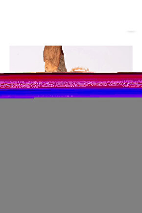 Labradorit Taşı Doğal Taş Ayarlamalı Yüzük