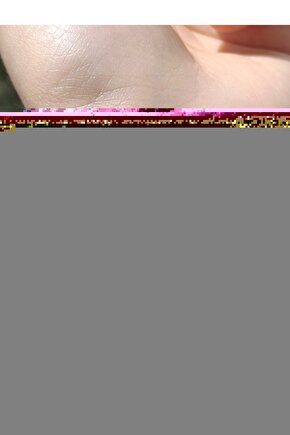 Nakış Detay Baskılı Crop T-Shirt