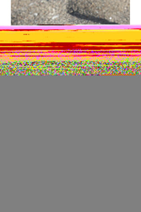 Kadın Kısa Kollu Madonna Yaka önü Kısa Arkası Uzun Ithal Krep Elbise