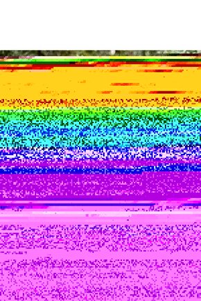 MDB Baskılı Tshirt iyah