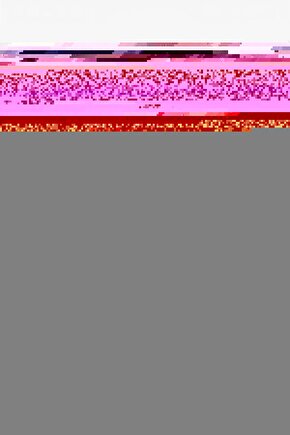 Jasper Doğal Taş Bileklik 8 Mm