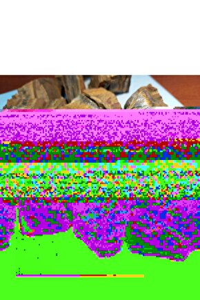 Ham parça Kaplangözü