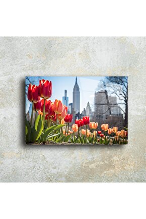 New York Manzaralı Lale Bahçesi Cam Tablo