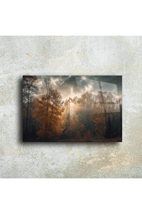 Sisli Orman Temalı Cam Duvar Tablosu