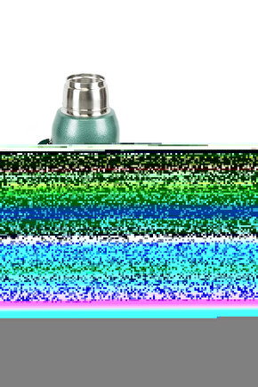 Elma ve Bitki Desenli Duvar Sanatı