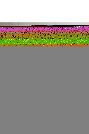 Geniş Açılı Araç Kör Nokta Aynası (2 Adet)