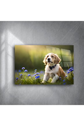 Canlı Mavi Çiçekler Arasında Oturan Sevimli Yavru Köpek Kanvas Tablo