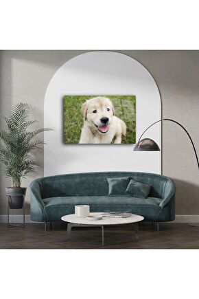 Art002 X01 Shopzum 3 Metre Şeffaf Usb Uzatma Kablosu Bernami Yeni