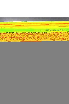 Tropikal Şelale Manzaralı Cam Tablo