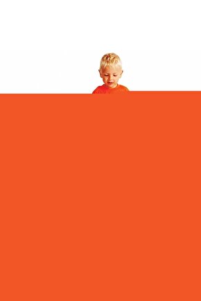 Lotus Çiçeği Cam Duvar Tablosu