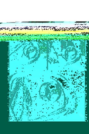 M3LFS- kör nokta ayna seti